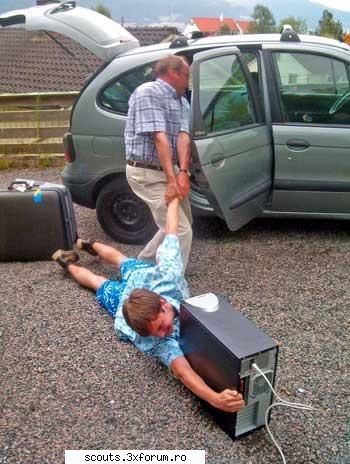 funny pictures